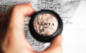 kenya magnifier